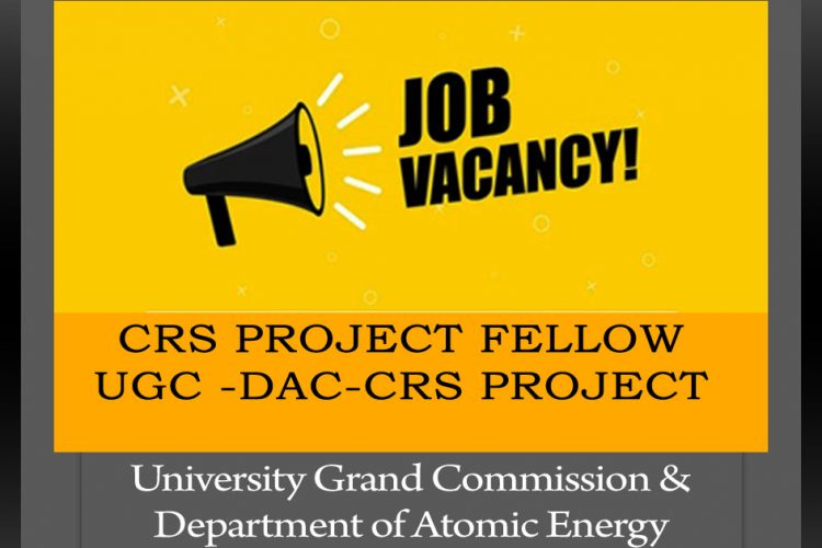 CRS project fellow